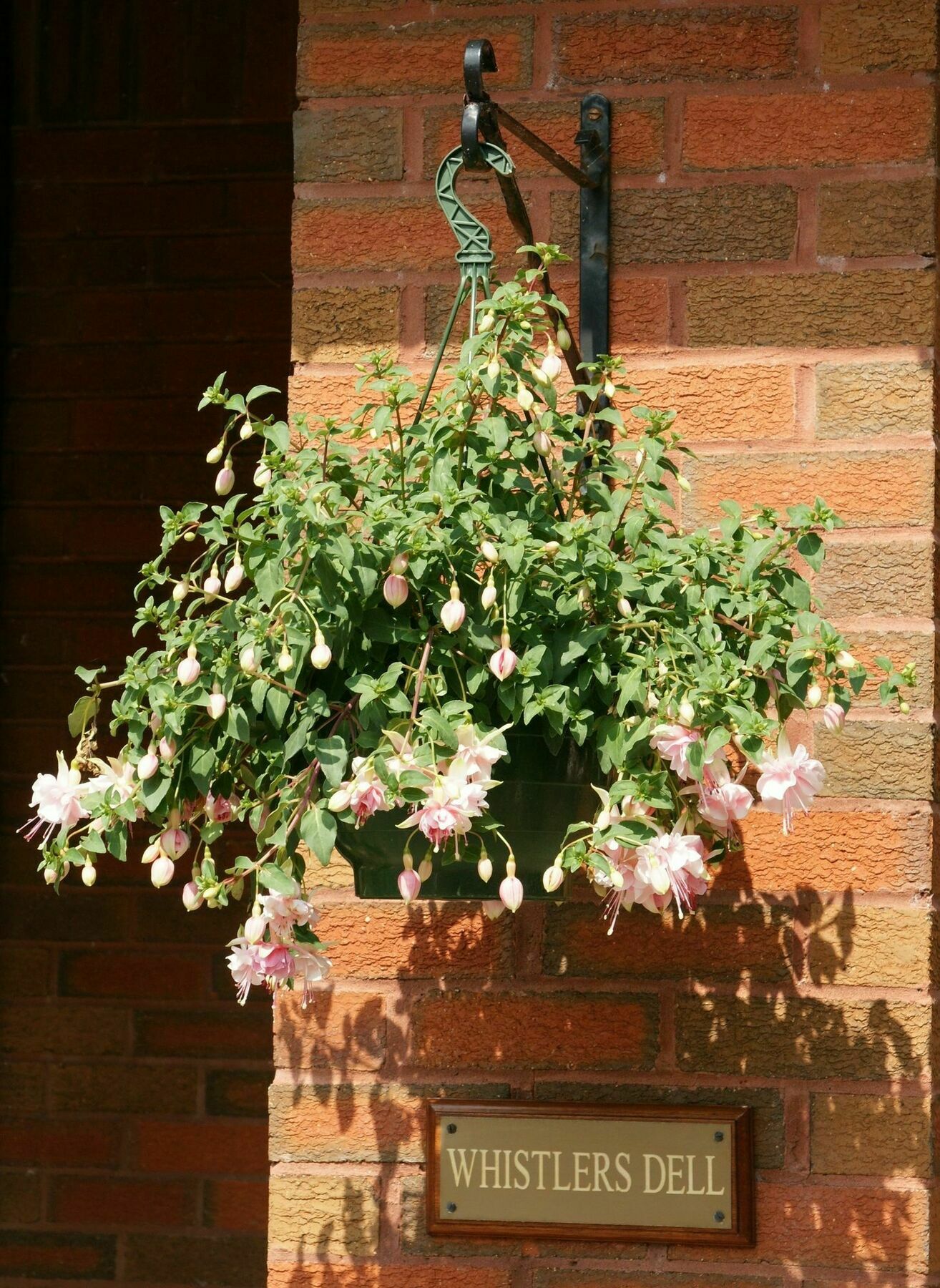 Whistlers Dell B&B Rhu Exterior photo
